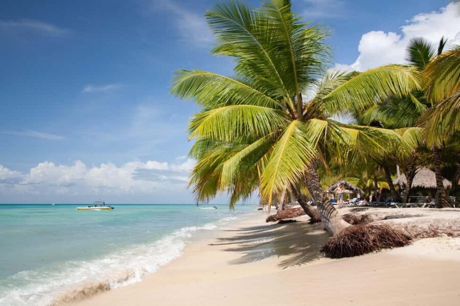 From Punta Cana: Catamaran Tour to Saona Island with Open Bar and Buffet - Quick take: what makes this Saona day work