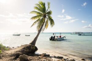 From Punta Cana: Catamaran Tour to Saona Island with Open Bar and Buffet - The catamaran ride: open bar fun without the stress