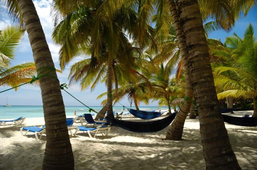 From Punta Cana: Catamaran Tour to Saona Island with Open Bar and Buffet - Buffet lunch on Saona: typical Dominican flavors, plus veg options