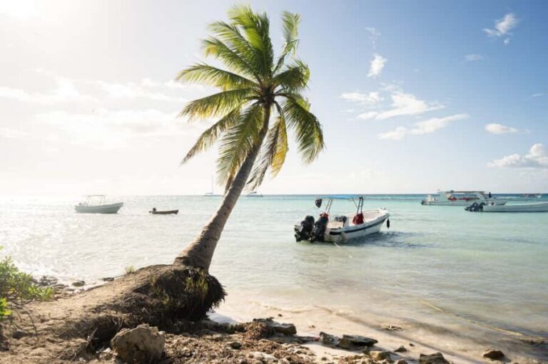 From Punta Cana: Catamaran Tour to Saona Island with Open Bar and Buffet - The catamaran ride: open bar fun without the stress