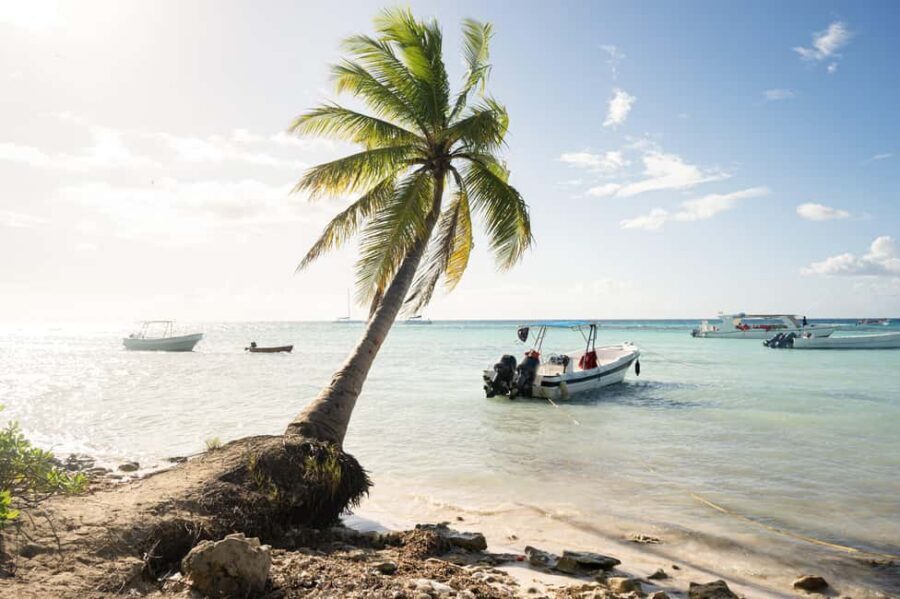 From Punta Cana: Catamaran Tour to Saona Island with Open Bar and Buffet - The catamaran ride: open bar fun without the stress