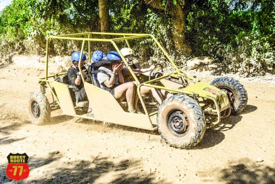 From Punta Cana: Countryside Off-Road Buggy Adventure - Key Highlights You’ll Actually Care About