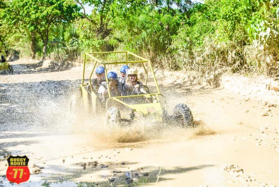 From Punta Cana: Countryside Off-Road Buggy Adventure - Mud Pools and Panoramic Farm Views: The Trails’ Real Story