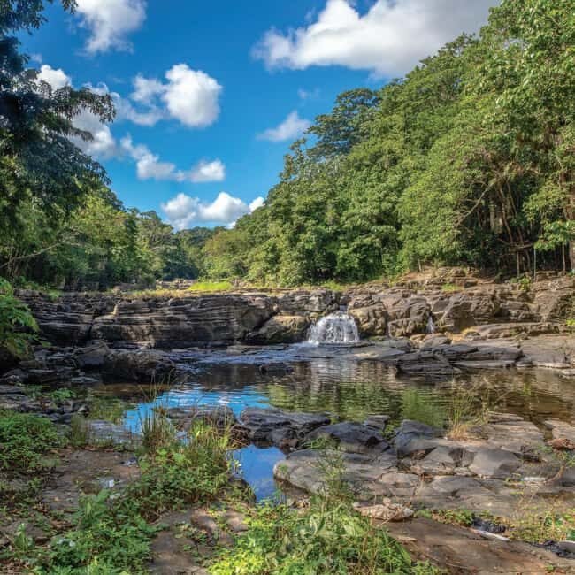 From Punta Cana: Higuey Expedition Cultural & Historic Tour - Horseback riding through countryside and jungle trails: fun with trade-offs