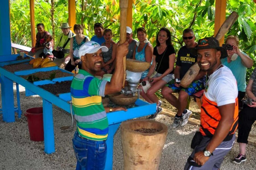 From Punta Cana: Higuey Expedition Cultural & Historic Tour - Choose your safari option: truck, van, wild group, or a walking tour