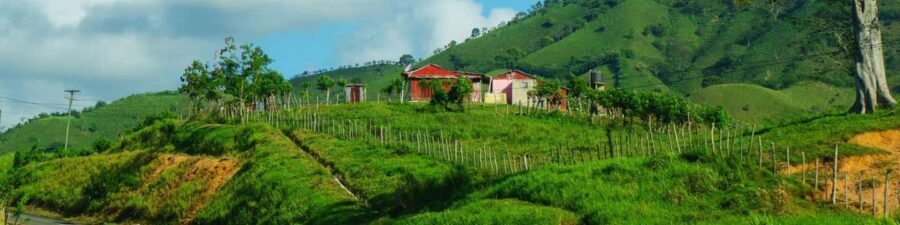 From Punta Cana: Higüey Guided Safari Tour - Cigar Demonstration and Handmade Gift Shopping