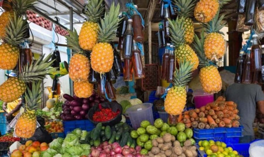 From Punta Cana: History and Culture Tour with River Swim - Price and value for a 5-hour culture loop