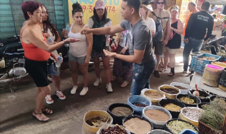 From Punta Cana: History and Culture Tour with River Swim - Countryside farm stops: coffee, cocoa, vanilla, and fruit in plain terms