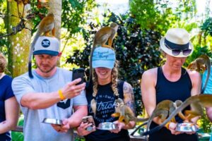 From Punta Cana: Jungle Buggy Ride & Monkeyland Guided Tour - Monkeyland Squirrel Monkeys: Feeding Up Close (Rules Matter)