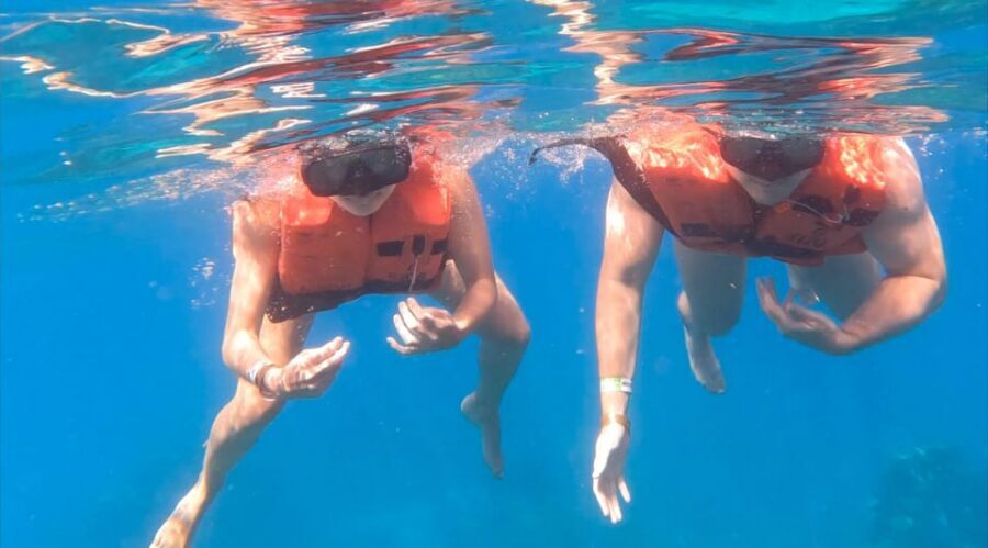 From Punta Cana or Bayahibe: Catalina Island with Snorkeling - Price and value: is $58 a fair deal?