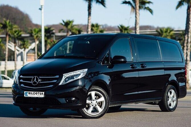 From Punta Cana Private Airport (PUJ) Shuttle To Hotel - Who This Transfer Fits Best