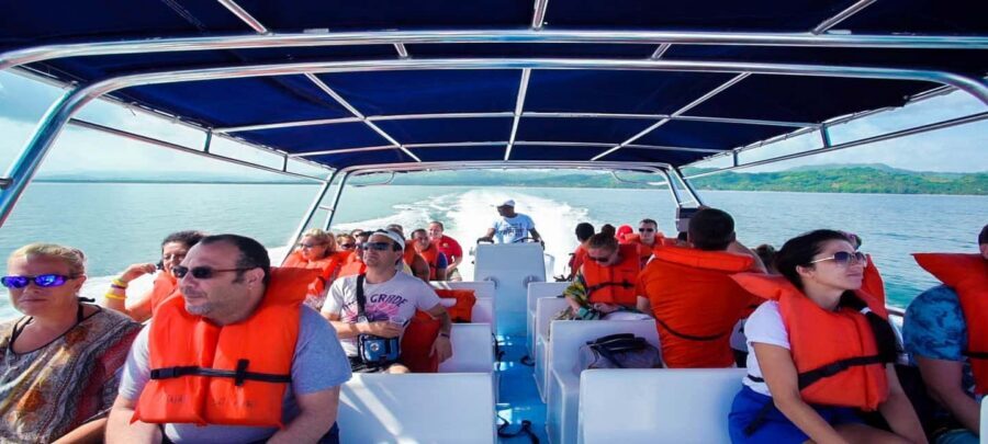 From Punta Cana: Samana Full Day Trip by Bus and Boat - Should you book this tour?