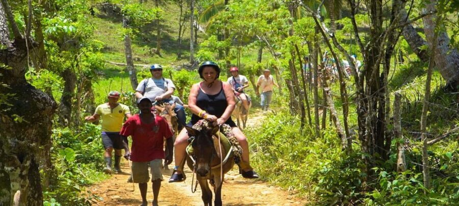 From Punta Cana: Samana Full Day Trip by Bus and Boat - Who should book this Samana day trip—and who should skip it