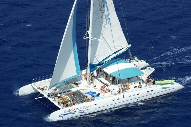 From Punta Cana: Saona Island & Altos de Chavon Day Trip with Lunch and Open Bar - Food and drinks: BBQ buffet, vegetarian meals, and open-bar expectations