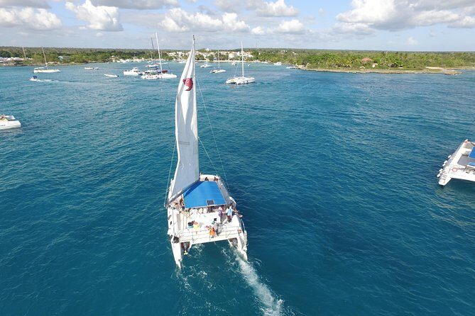 From Punta Cana: Saona Island & Altos de Chavon Day Trip with Lunch and Open Bar - Guides, energy, and the group vibe on water and buses