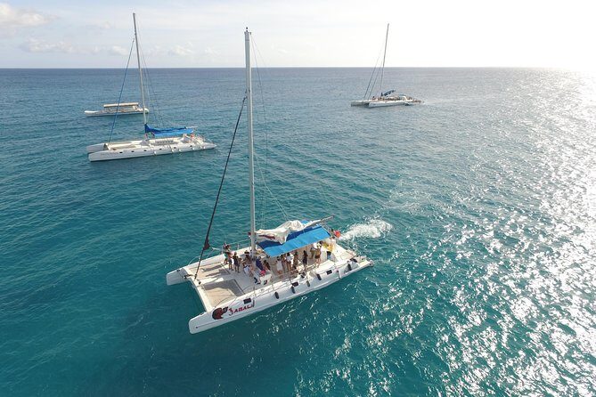 From Punta Cana: Saona Island & Altos de Chavon Day Trip with Lunch and Open Bar - Price and value: what $99 really covers (and what costs extra)