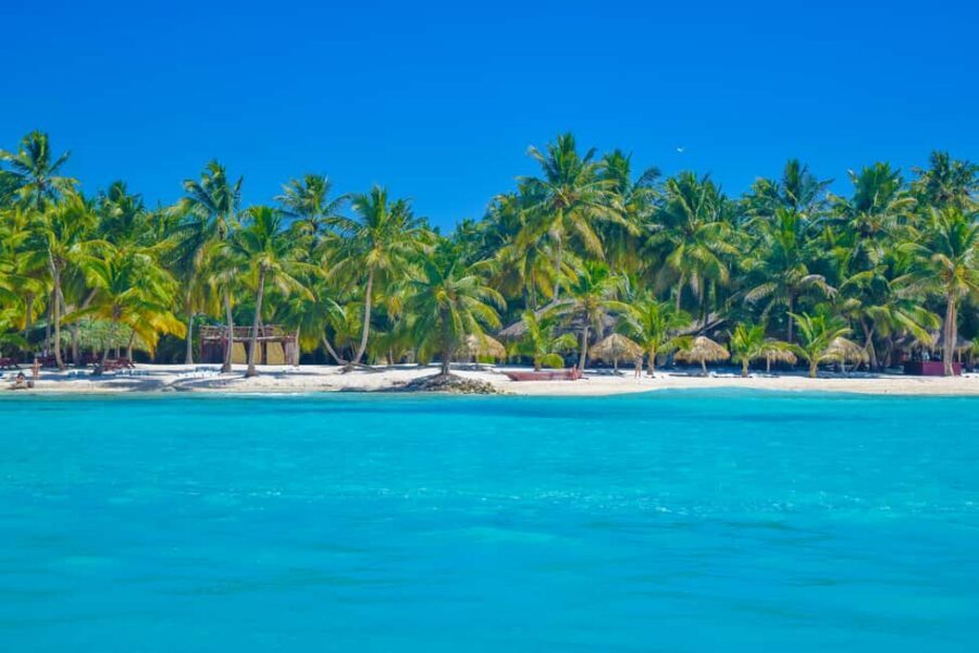 From Santo Domingo: Saona Island Day Trip w/ Lunch & Drinks - The Blue Lagoon / Natural Pool stop: shallow water and quick reset