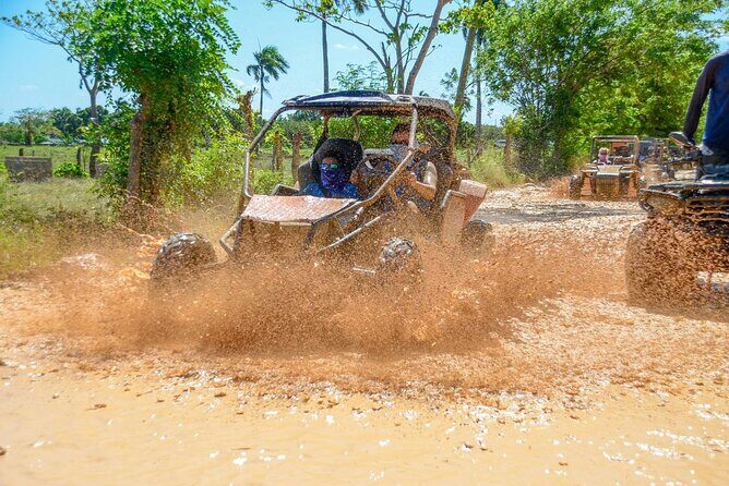 Full-day Buggy & Party Boat tour: snorkel, open bar, cave pool - Natural Pool / Cave Pool Time: The Payoff Swim