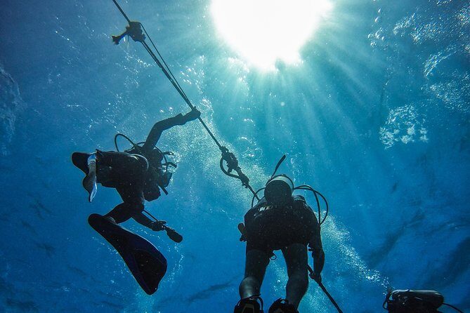 Full-Day Catalina Island Scuba Diving Tour from Punta Cana - Catalina Island From Punta Cana: What You’re Really Buying