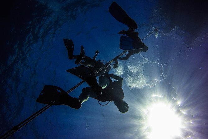 Full-Day Catalina Island Scuba Diving Tour from Punta Cana - What You Get for the Money: Is $130.50 Worth It?