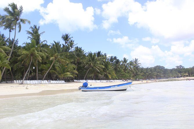 Full-Day Cruise to Saona Island - Natural pool and lunch - Isla Saona: beach time, buffet lunch, and crowd management