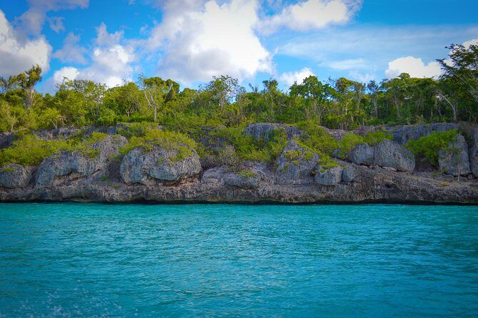 Full-Day Excursion in Saona Island - Lunch and Drinks: Included, But Not a Restaurant