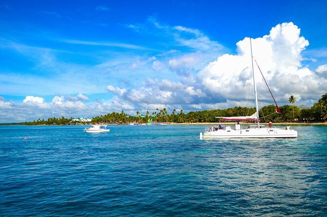 Full-Day Excursion in Saona Island - Price and Value: Is $64 Actually a Good Deal?