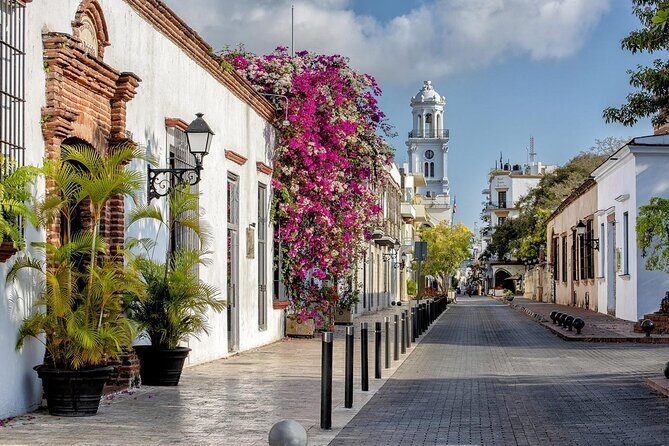 Full Day Santo Domingo City Tour: History of the Caribbean From Punta Cana - Calle Las Damas (Street of the Ladies) and the colonial street vibe