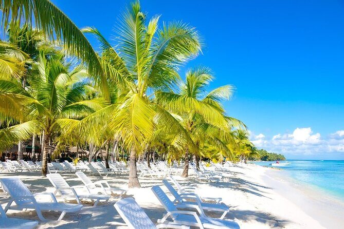 Full-Day Saona Island Escape – Beaches, Adventure, Paradise Vibes - The long ride from Punta Cana: early pickup, big water energy, and real timing