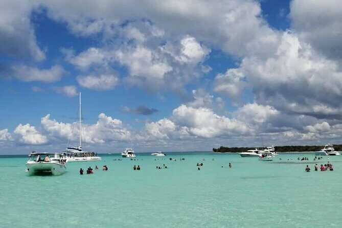 Full-Day Saona Island Escape – Beaches, Adventure, Paradise Vibes - Who this tour is best for (and who should reconsider)