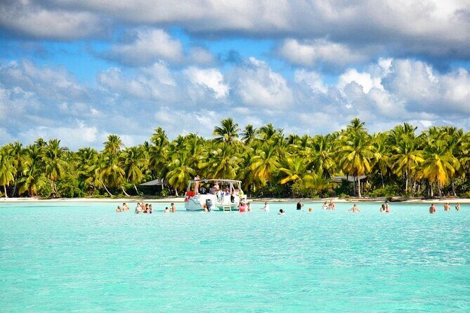 Full-Day Saona Island Escape – Beaches, Adventure, Paradise Vibes - Your Saona Day: snorkeling, a natural starfish pool, and park wildlife moments