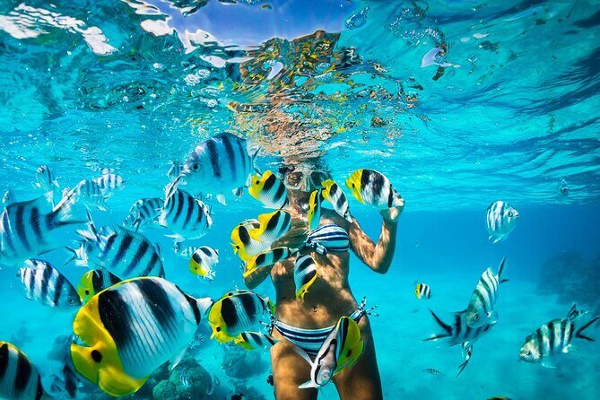 Full Day Snorkeling in Catalina Island with Transportation and Lunch - Transportation realities from the Punta Cana area to the port