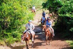 Full Day Supreme Safari Punta Cana - La Altagracia in Higuey: Church Architecture and What to Wear