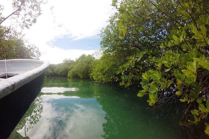 Full-Day Tour to Punta Rucia and Cayo Arena with Snorkeling - The return half: a local market stop and then you’re back home