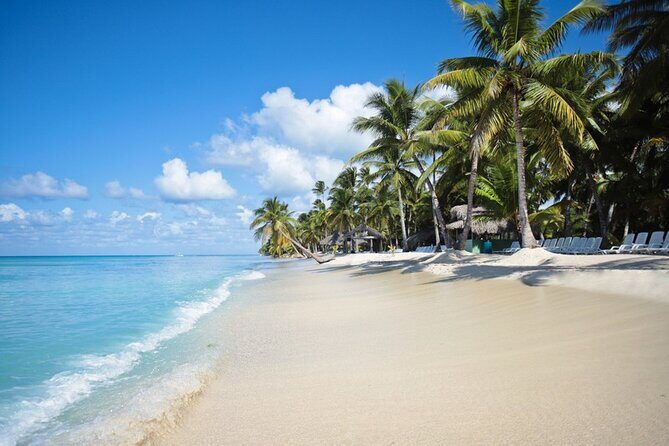 Full-Day Tour to Saona Island Sailing with Lunch and Beverages - Key takeaways before you go