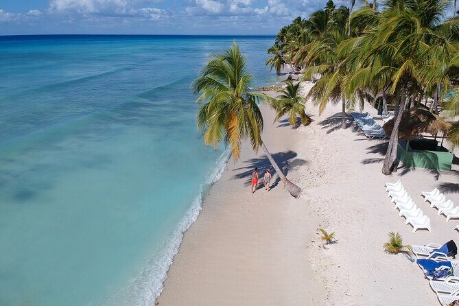 Full-Day Tour to Saona Island Sailing with Lunch and Beverages - Lunch and beverages: what’s included, what to watch, and what to bring