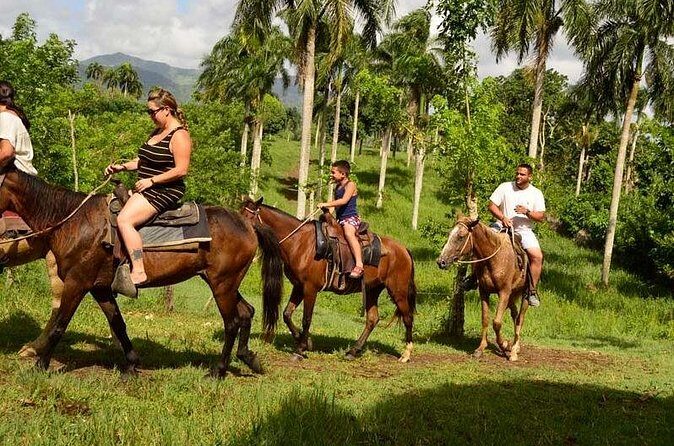 Guided Horseback Ride On The Beach With Pickup From Punta Cana - Safety and Horse Manners: The Real Reason You’ll Enjoy It
