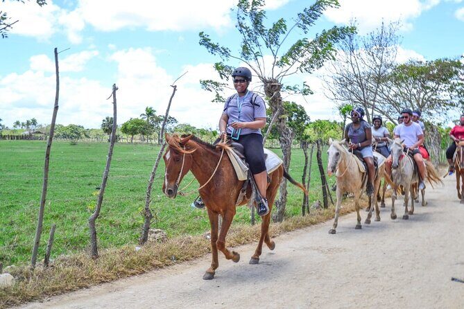 Guided Horseback Ride On The Beach With Pickup From Punta Cana - Pickup From Punta Cana: The Stuff That Makes or Breaks Your Day