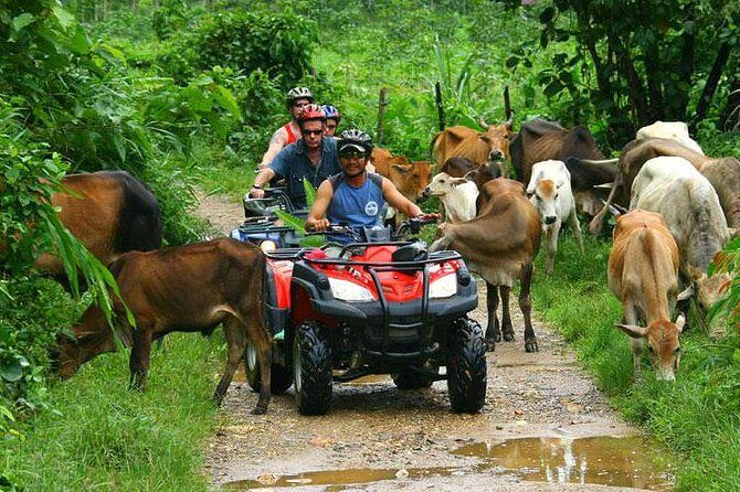 Half-Day Adventure 4x4 ATV, Water Cave and Dominican Culture - ATV, Cenote, and Macao Beach: Why This Combo Works