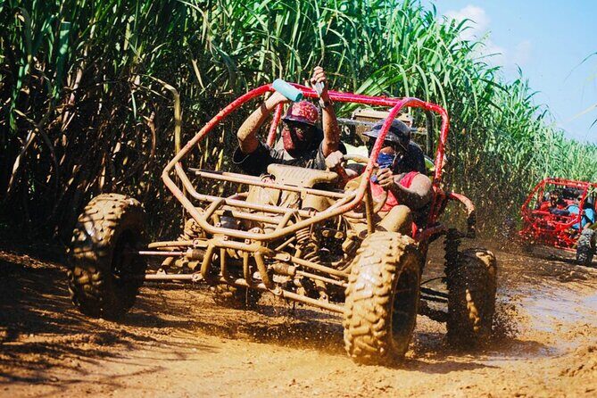 Half-Day ATV or Buggy 4X4 from Bayahibe - La Romana - Key things I’d zero in on before you go