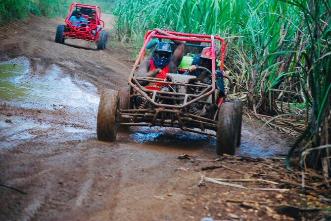 Half-Day ATV or Buggy 4X4 from Bayahibe - La Romana - Bateyes and sugarcane: a short cultural window (with real sights)