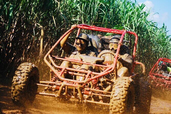 Half-Day ATV or Buggy 4X4 from Bayahibe - La Romana - Ranch tasting: fruit, coffee, cocoa, and that laid-back learning moment