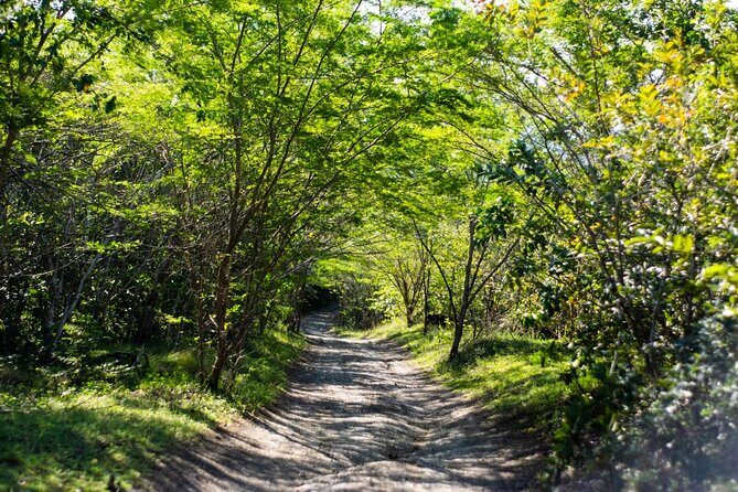 Half-Day Buggy Guided Adventure for Amber Cove and Taino Bay - Why this Puerto Plata buggy route starts so close to Amber Cove and Taino Bay