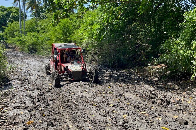 Half-Day Buggy Guided Adventure for Amber Cove and Taino Bay - Stop for cigars, organic hot chocolate, coffee, and that Dominican flavor stop