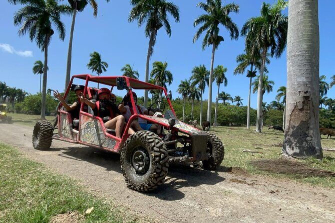 Half-Day Buggy Guided Adventure for Amber Cove and Taino Bay - Timing reality: cruise schedules are tight, so plan your buffer