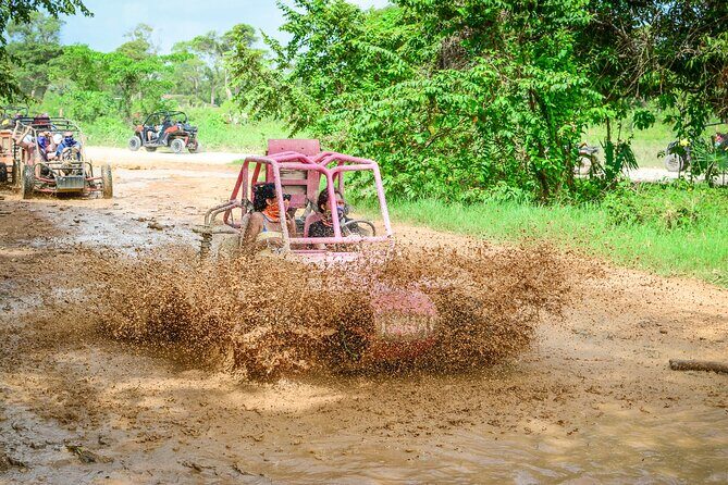 Half-Day Buggy Tour to Water Cave and Macao Beach - Stop 3: the organic farm tastings stop (and why it can feel small)
