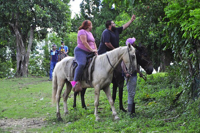 Half-Day Cultural Safari - How the factories and market time make culture feel real