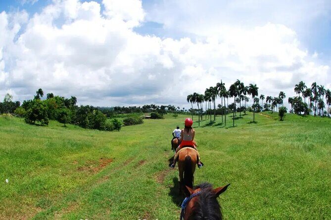 Half-Day Cultural Safari - Higüey city tour: short walk, big context