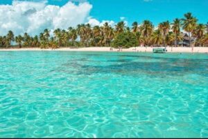 Half-day Private Catamaran Trip with Snorkeling - On Board Experience: Music, Restroom Convenience, and Open-Bar Flow