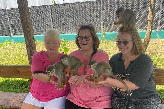Half Day Puerto Plata City Tour and Monkey Home Visit - Quick hits before you go